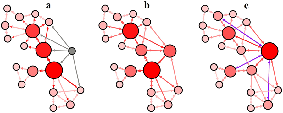 social network relationships