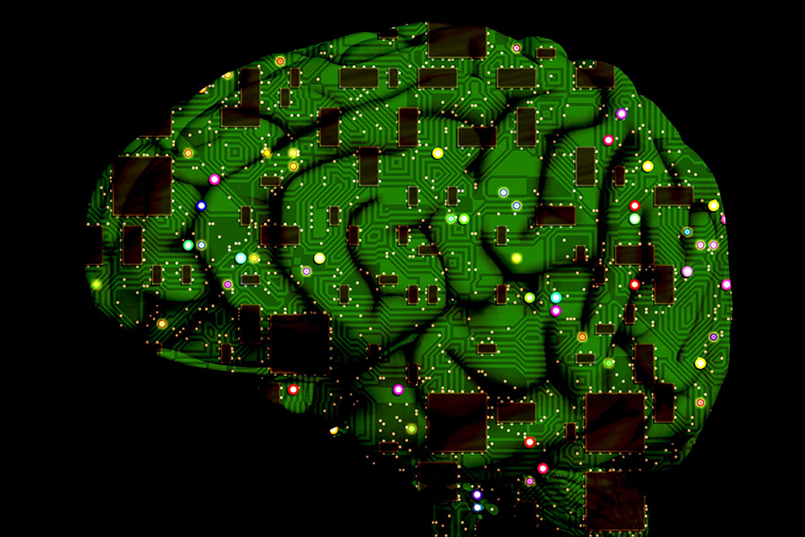 brain made out of a circuit