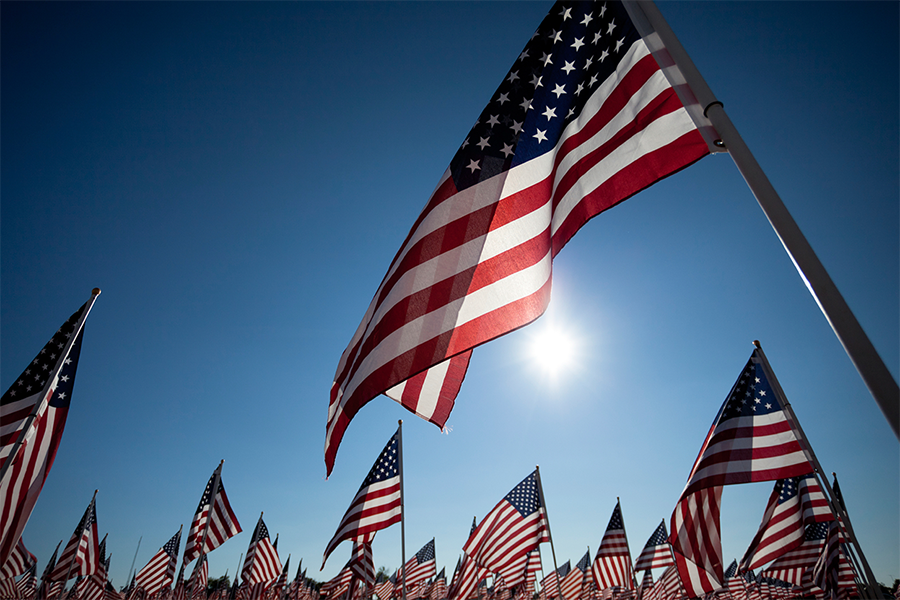 Image of USA Flags