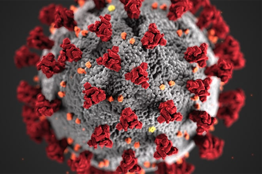 a COVID-19 virus