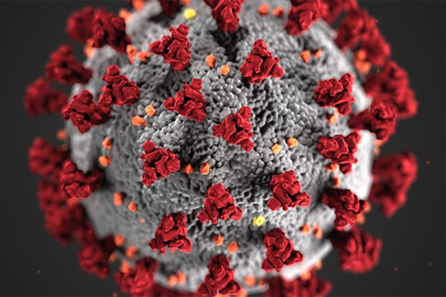 Covid-19 virus