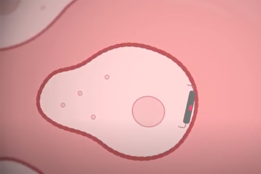 A nanodevice on a human cell