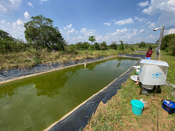A fish farm in Rwanda