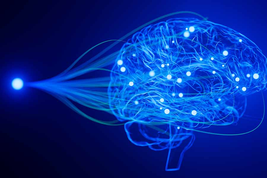 A brain made up of blue wavelengths